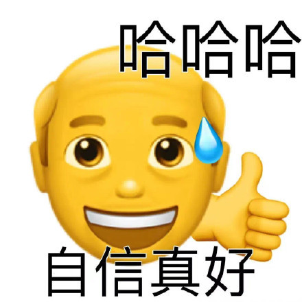 哈哈哈自信真好表情包