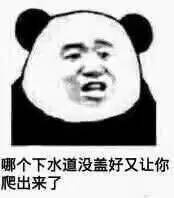 哪个下水道没盖好又让你爬出来了