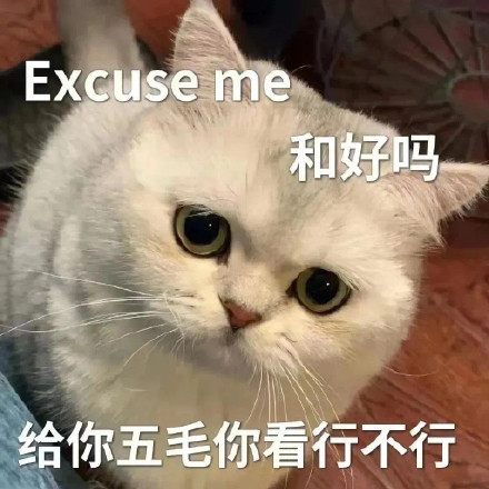 Excuse me 和好吗给你五毛你看行不行表情包