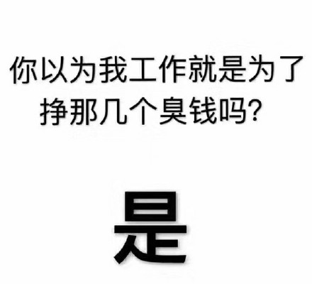 你以为我工作就是为了挣那几个臭钱吗?表情包