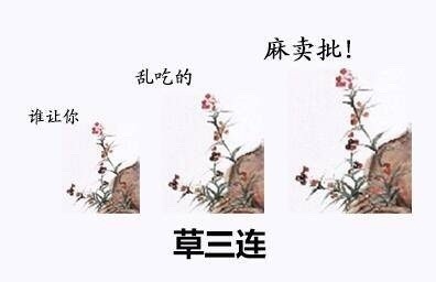 草三连：谁让你 乱吃的 妈卖批