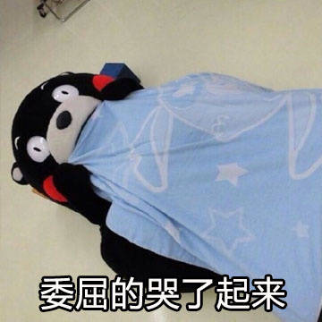 委屈的哭了起来