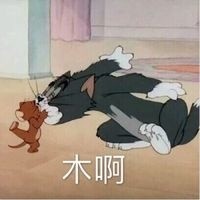 木啊（猫和老鼠）