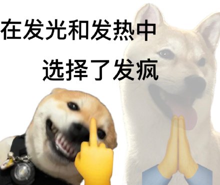 在发光和发热中选择了发疯