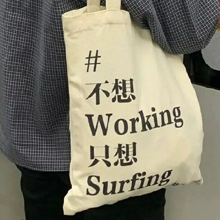 不想Working 只想Surfing 表情包