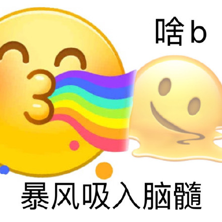 啥b暴风吸入脑髓表情包