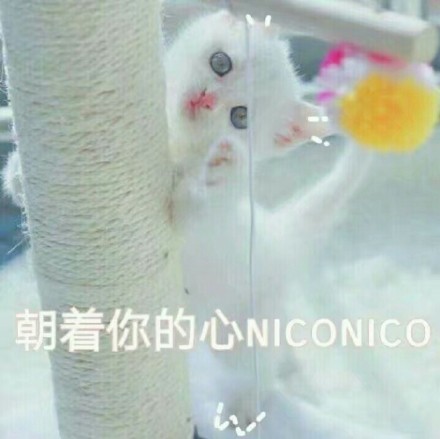 朝着你的心 NICONICO